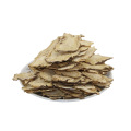 Herbal Medecine Chinses Angelica Seeds Angelica Keiskei